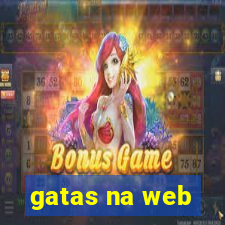 gatas na web